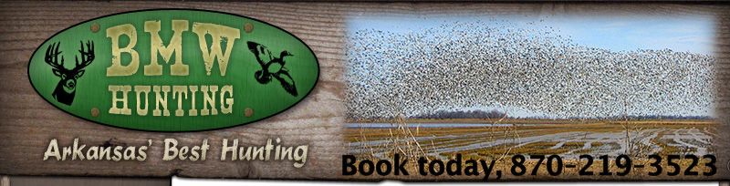 Arkansas Duck Hunting Guides Waterfowl Hunting Guides 2010 Duck Season BMWHunting